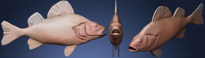 3D модель Рыба Окунь (STL)